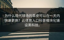 为什么现代球场的草皮可以在一天内快速更换？<strong>云体育入口</strong>科普模块化铺设黑科技。